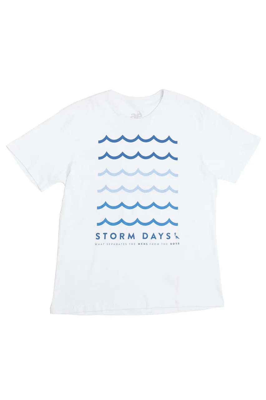T-SHIRT AE STORM DAYS RELAXED
