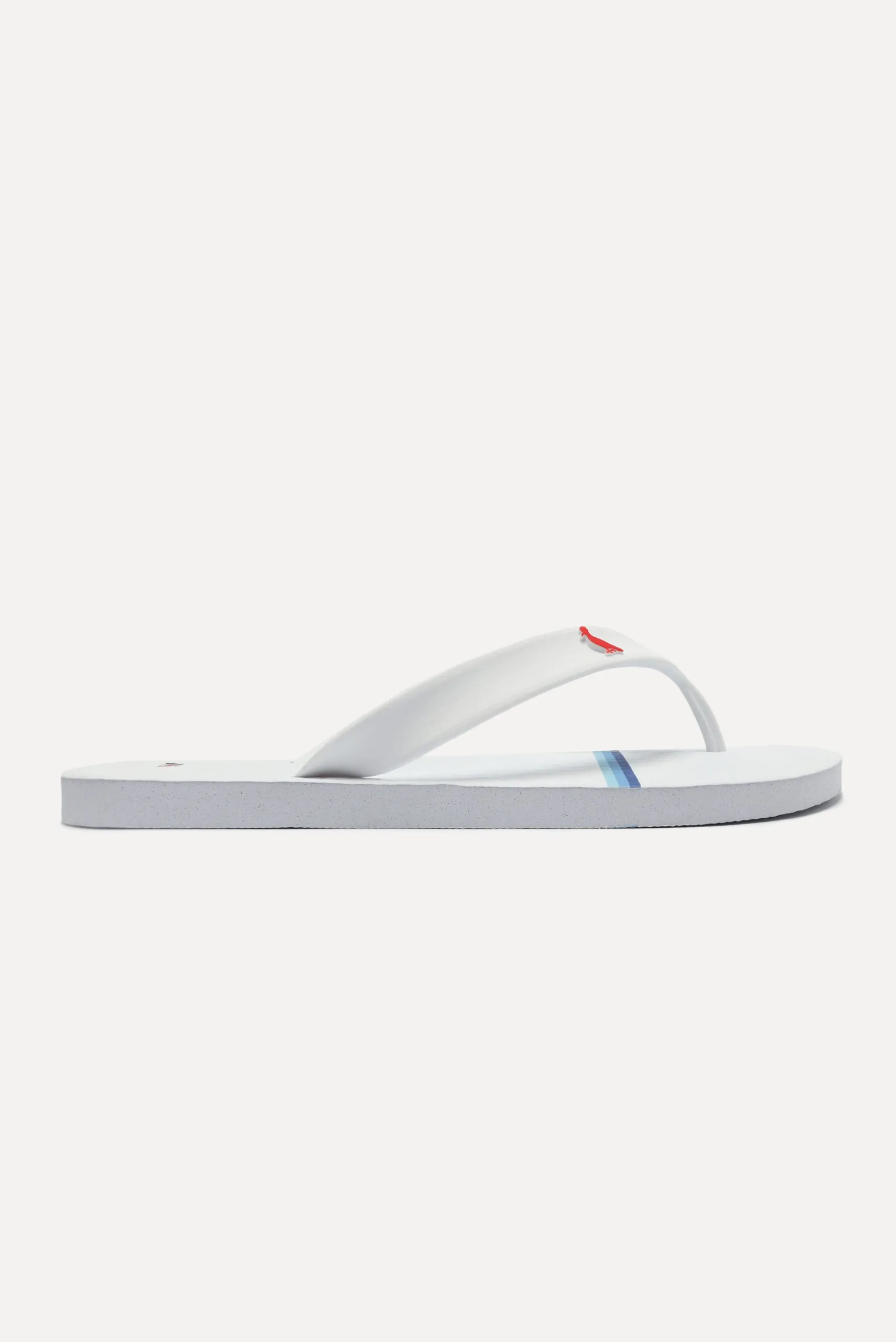 CHINELO RSV TRANCOSO LISTRADO SURF