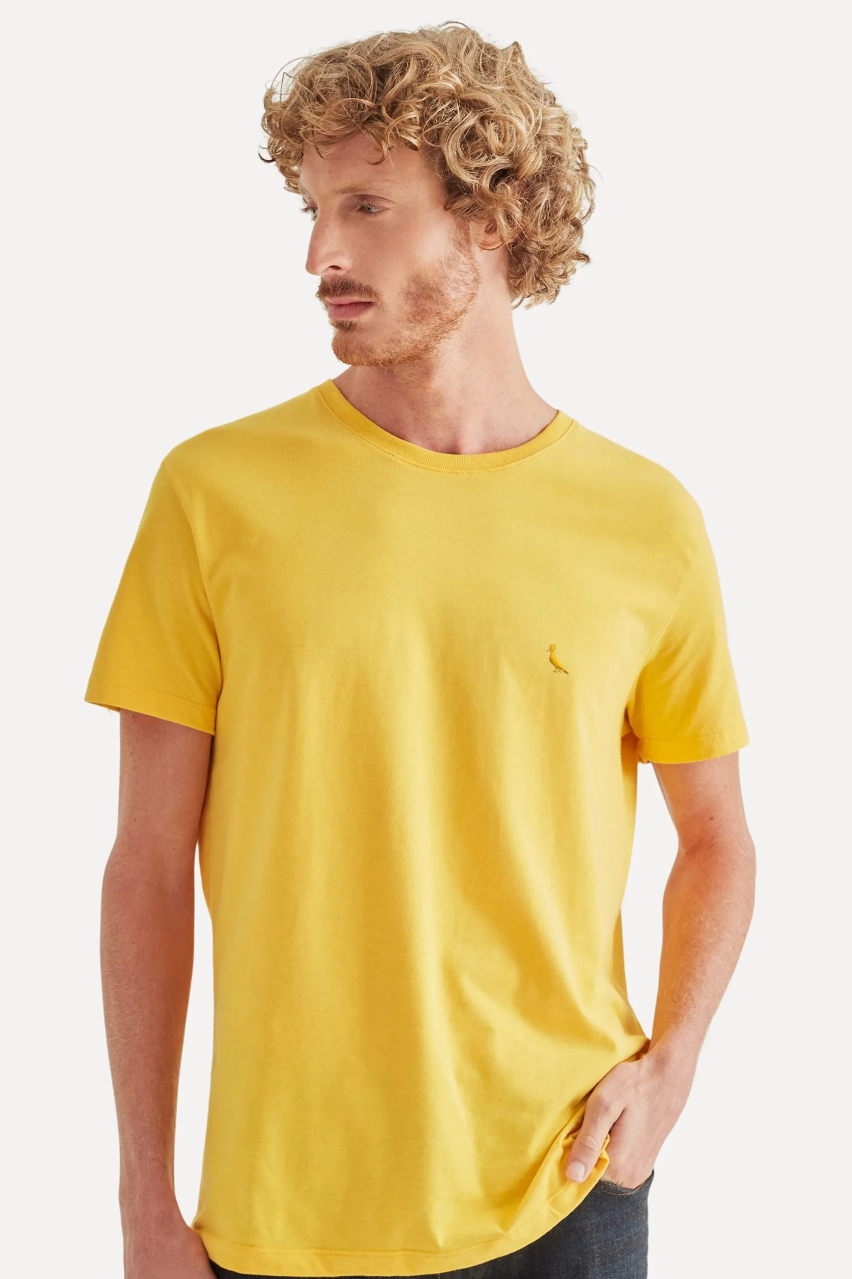 CAMISETA BASIC COLOR BORDADO AMARELA