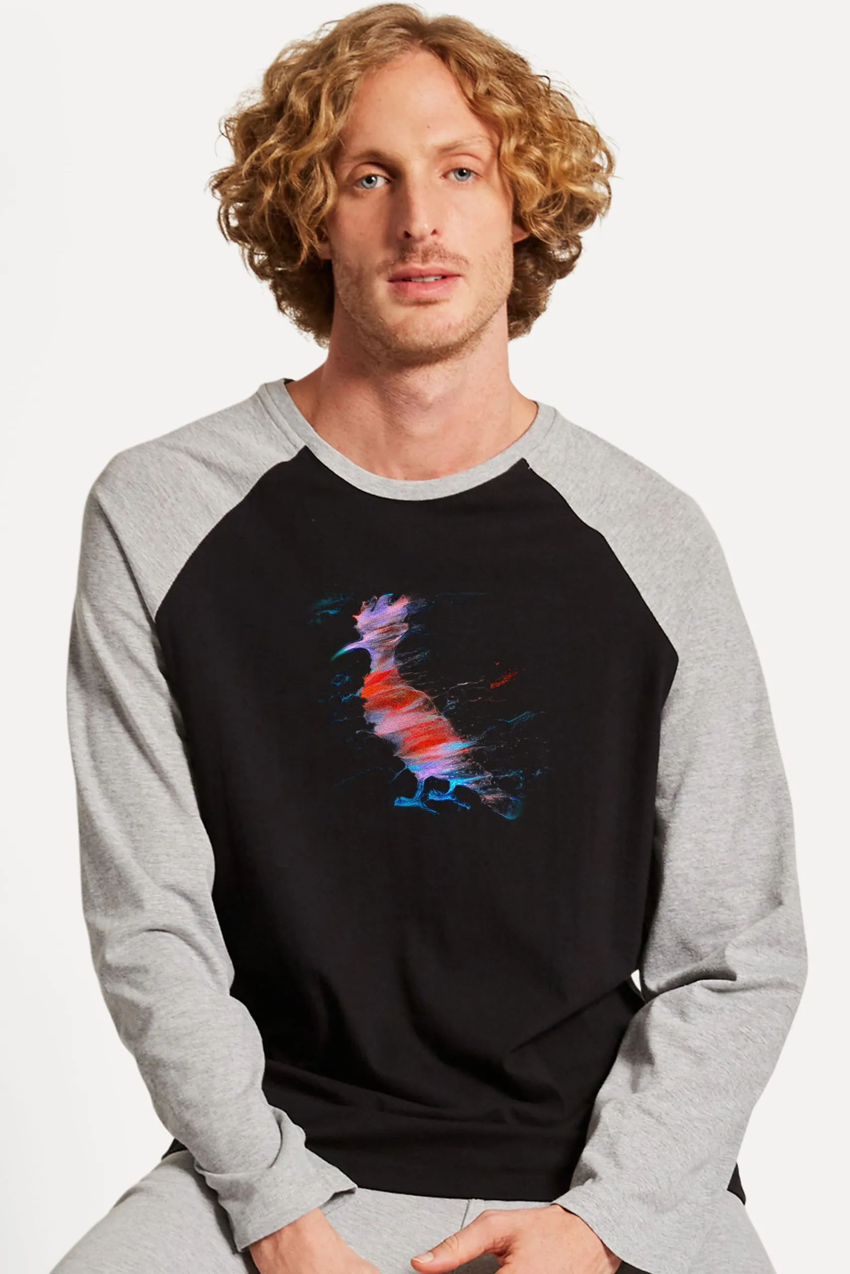 CAMISETA ML RAGLAN PICA PAU PAINT