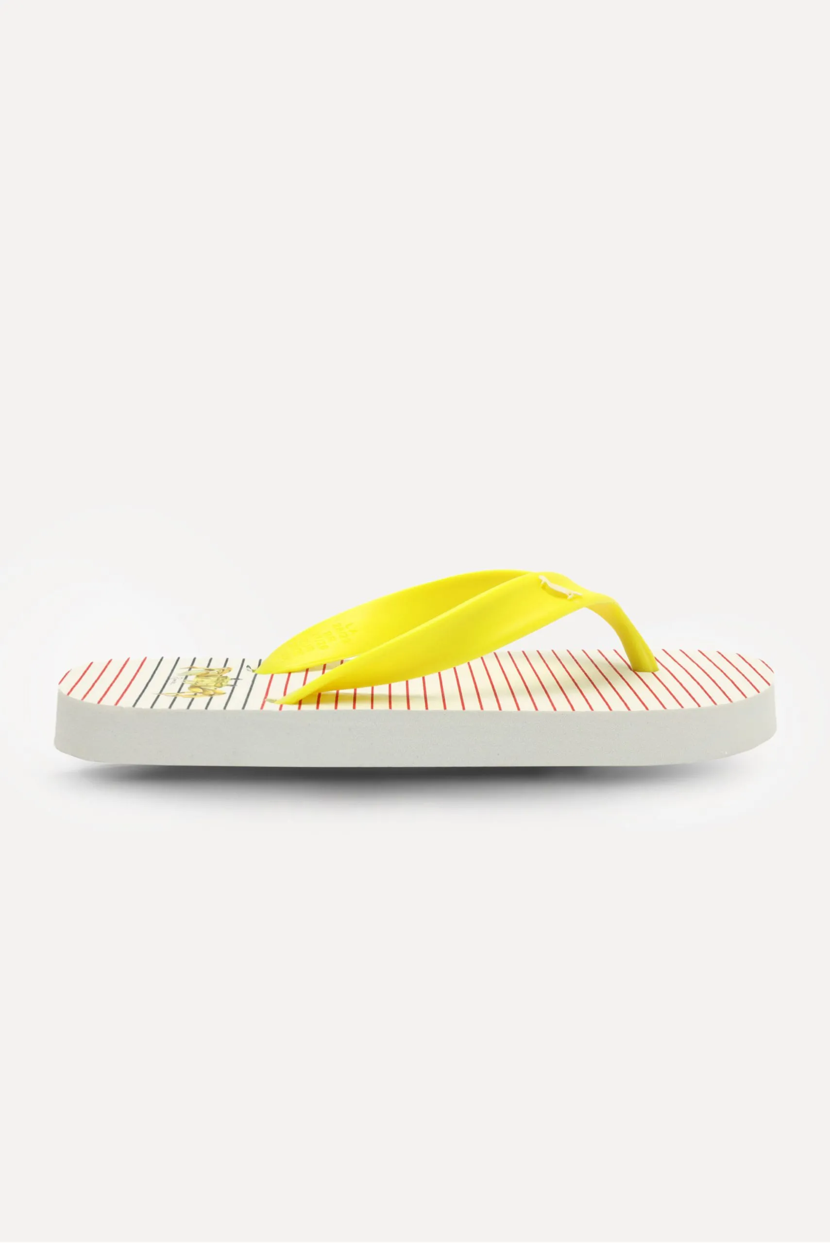 CHINELO RMI MARINHA LINES MINI