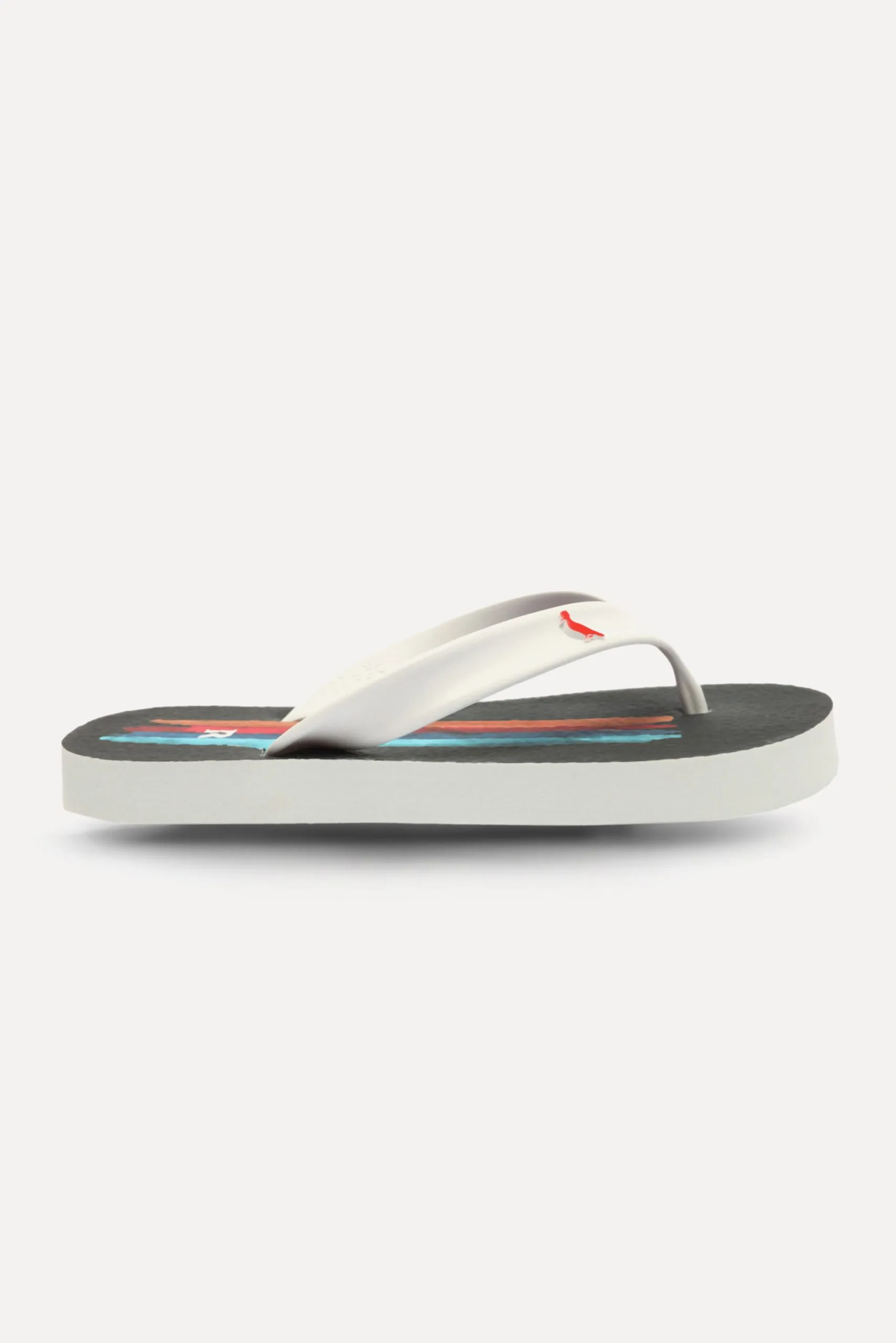 CHINELO RMI PINCELADA AVATAR MINI