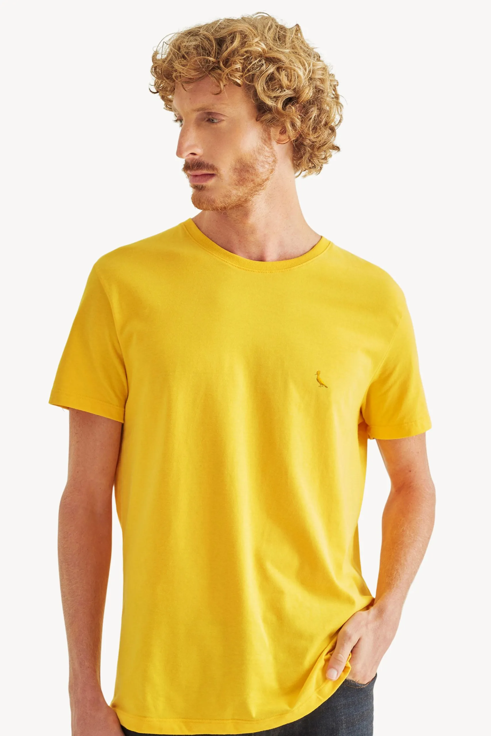 CAMISETA BASIC COLOR OURO