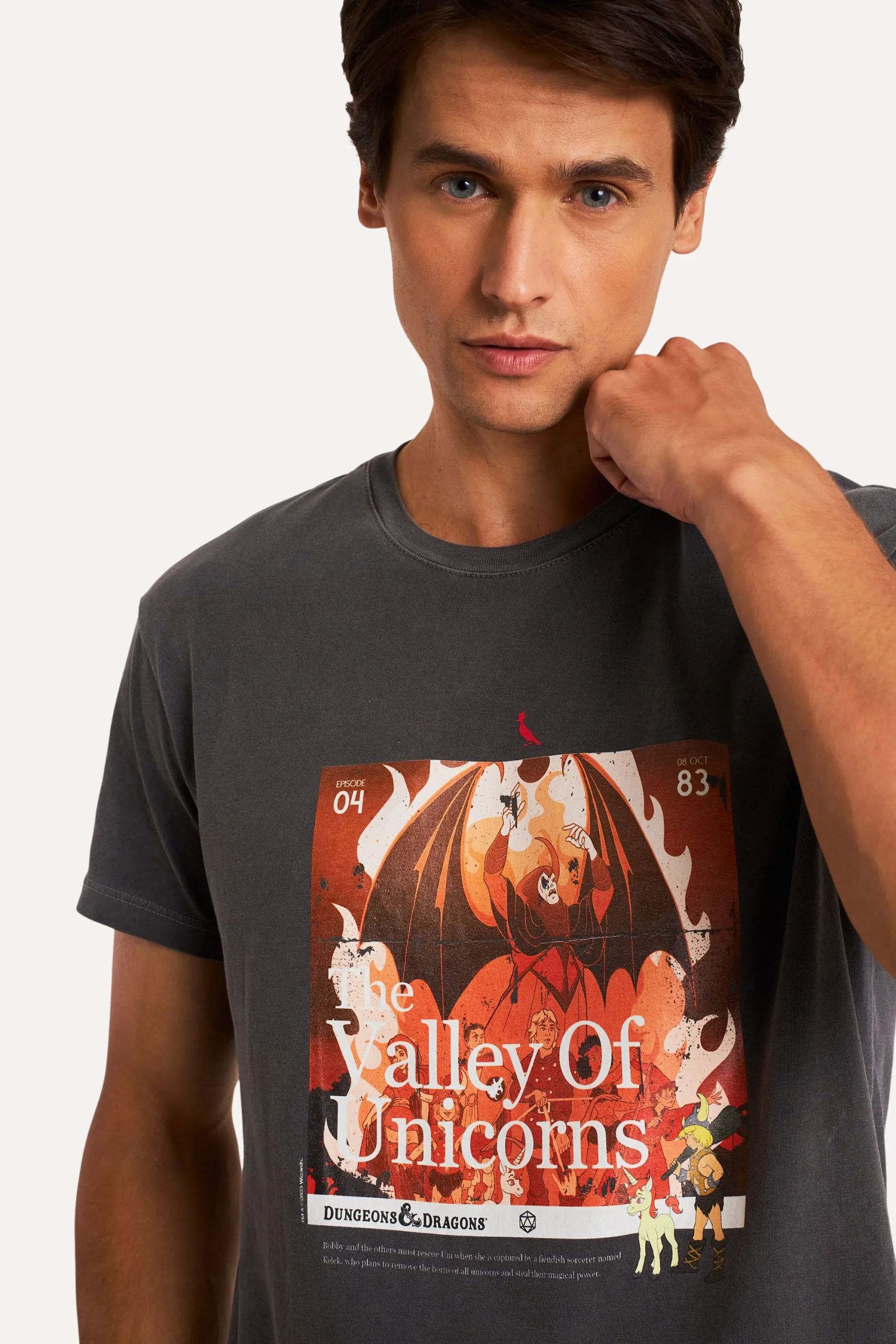 CAMISETA D&D VALLEY OF UNICORNS