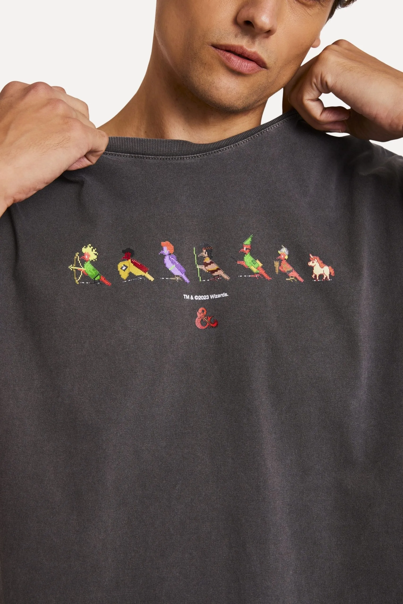 CAMISETA D&D PICA PAU SMALL