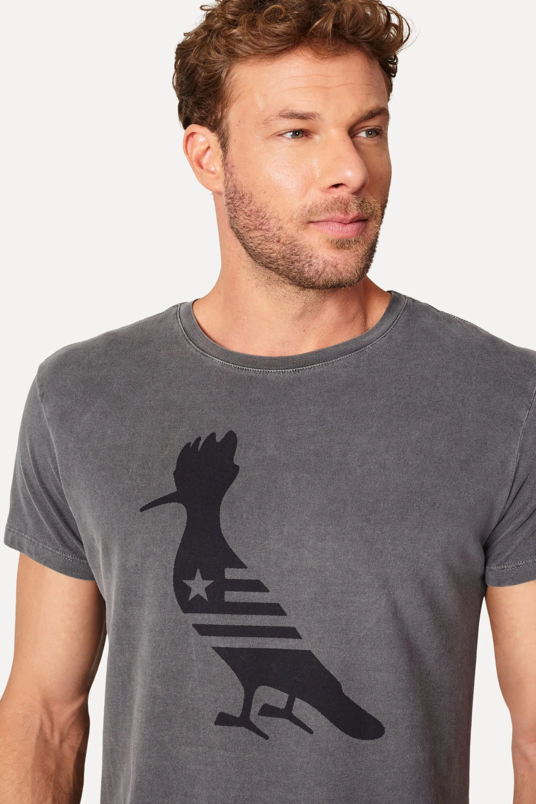 CAMISETA MASC PICA PAU BANDEIRA BOTAFOGO