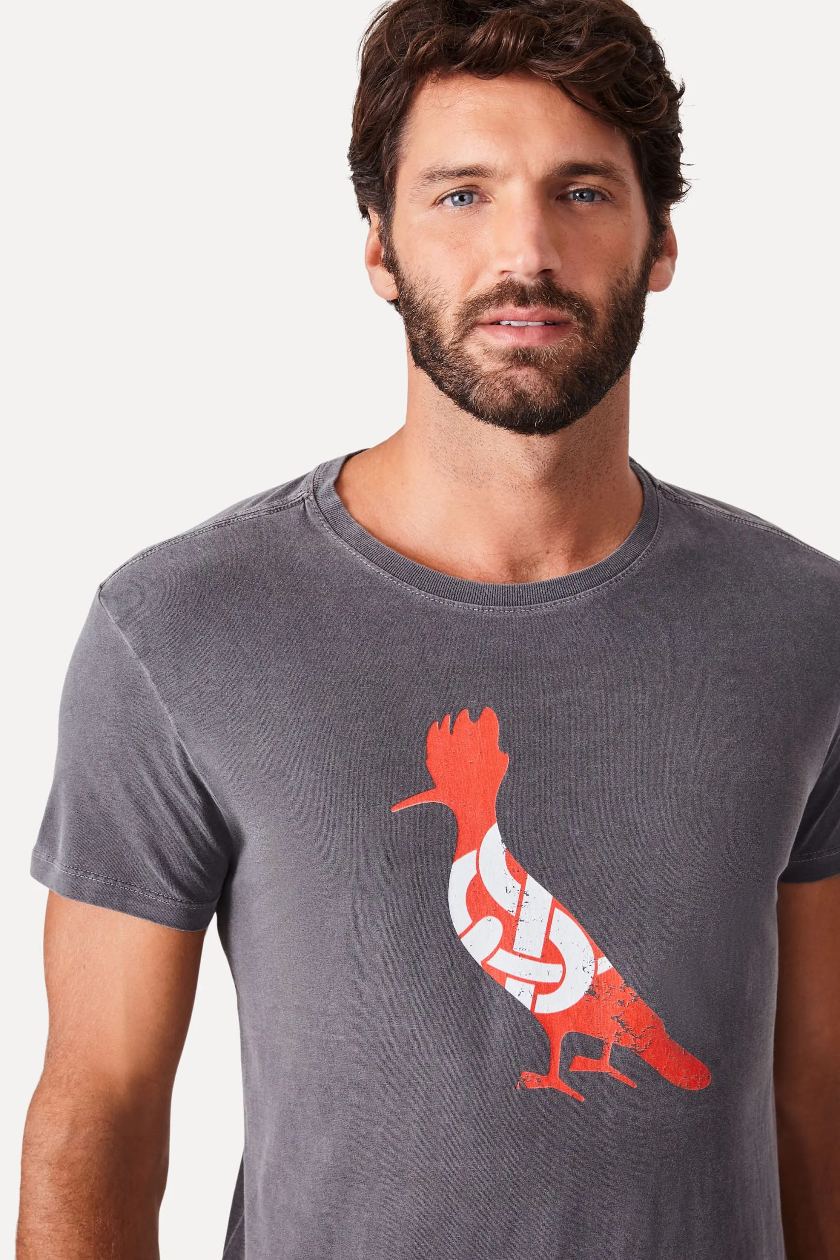 CAMISETA ESTAMPADA PICA PAU INTER