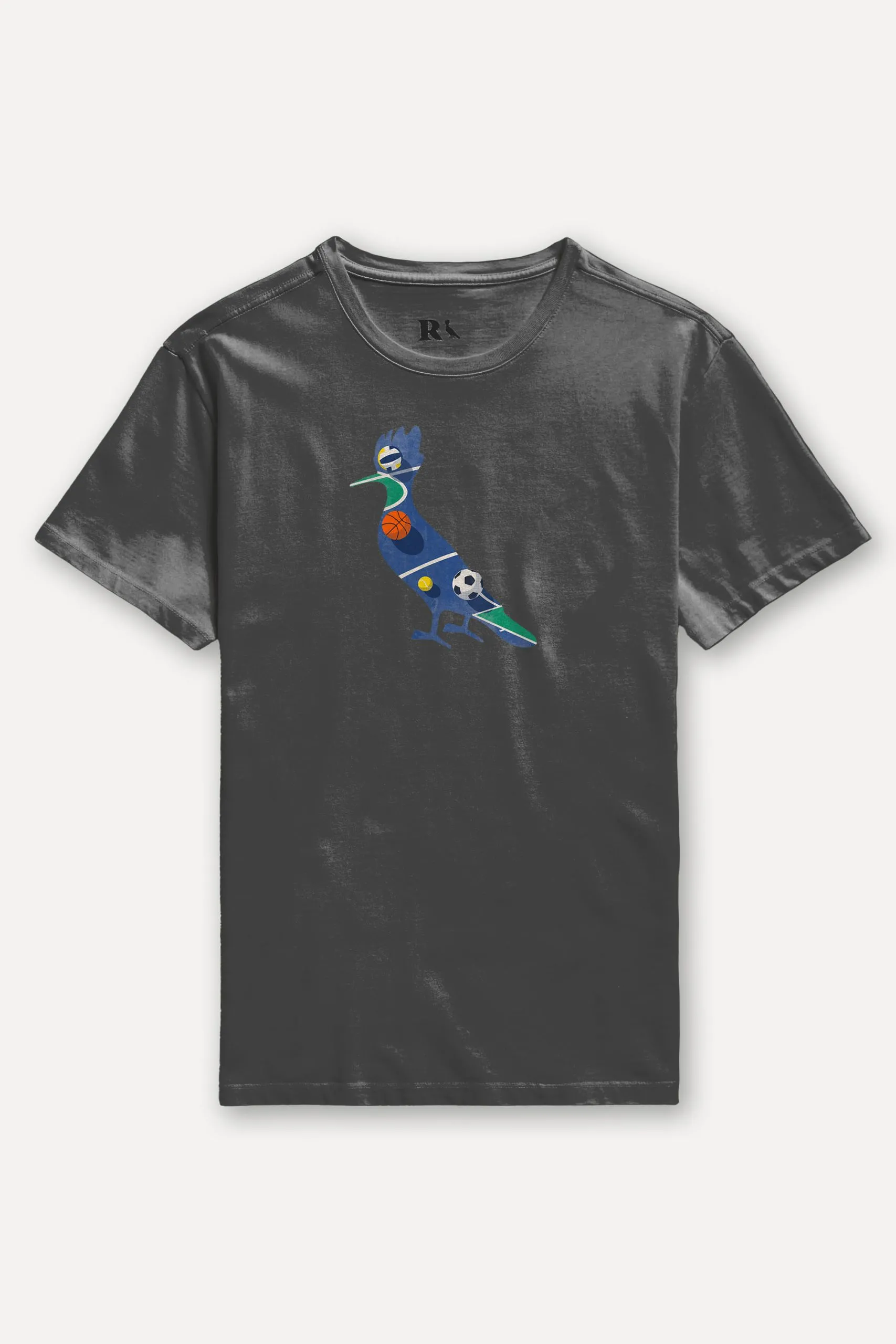 CAMISETA ESTAMPADA PICA PAU ESPORTES