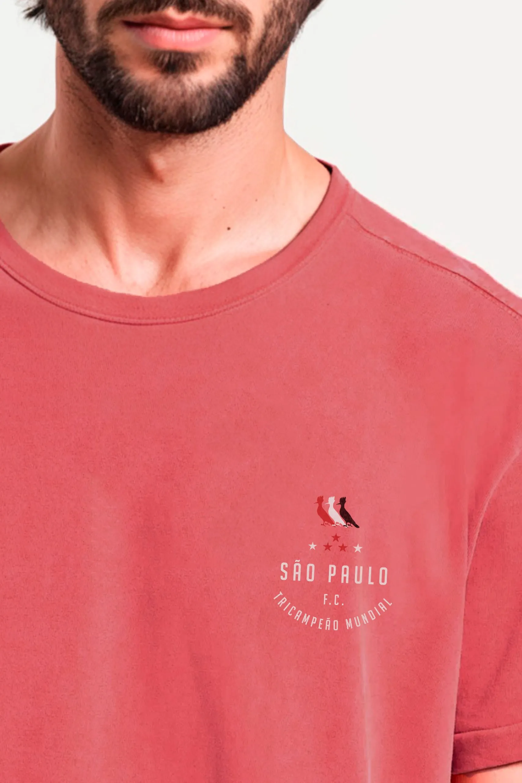 CAMISETA ESTAMPADA TRICOLOR SP