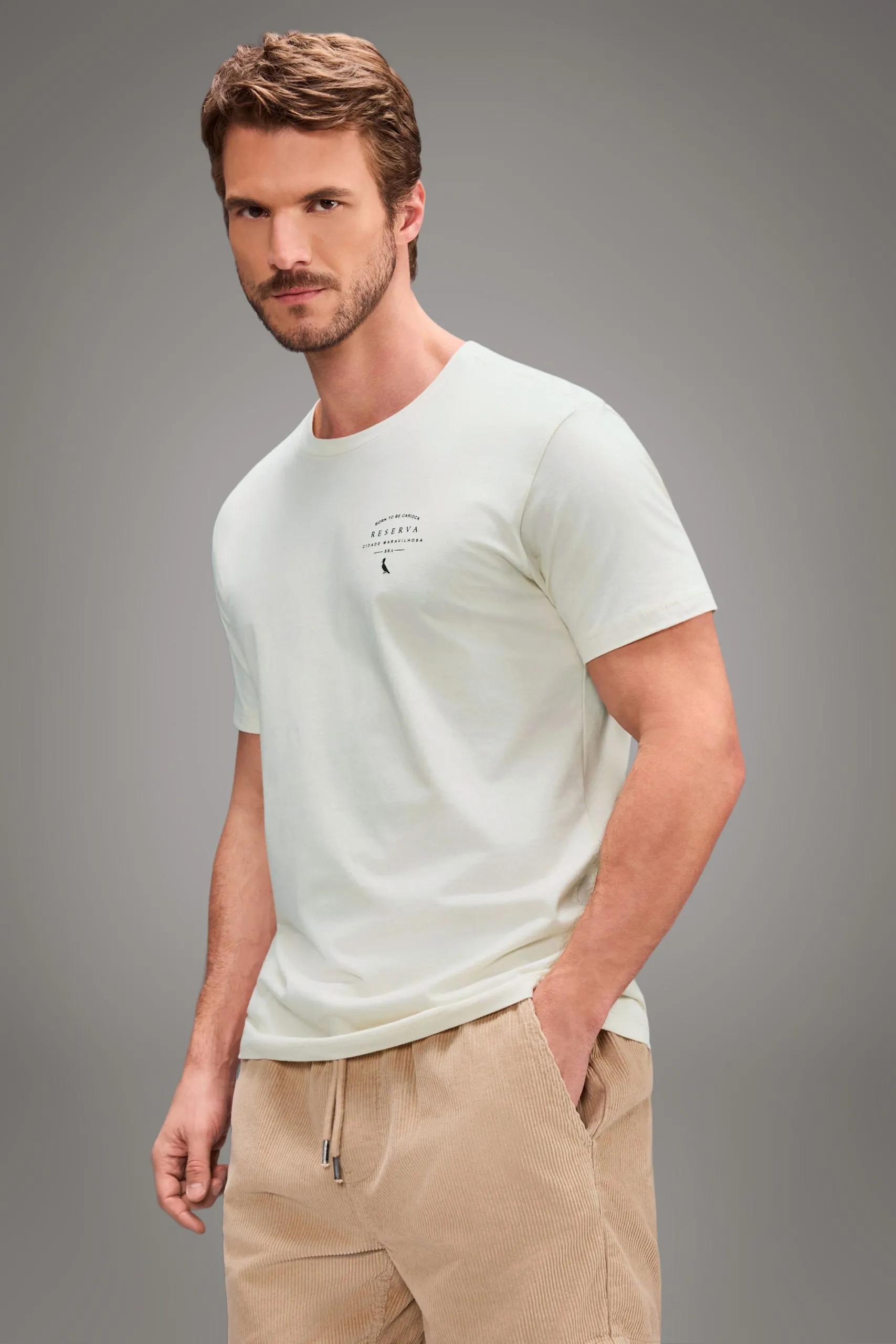 CAMISETA ESTAMPADA RIO PARAISO RJ