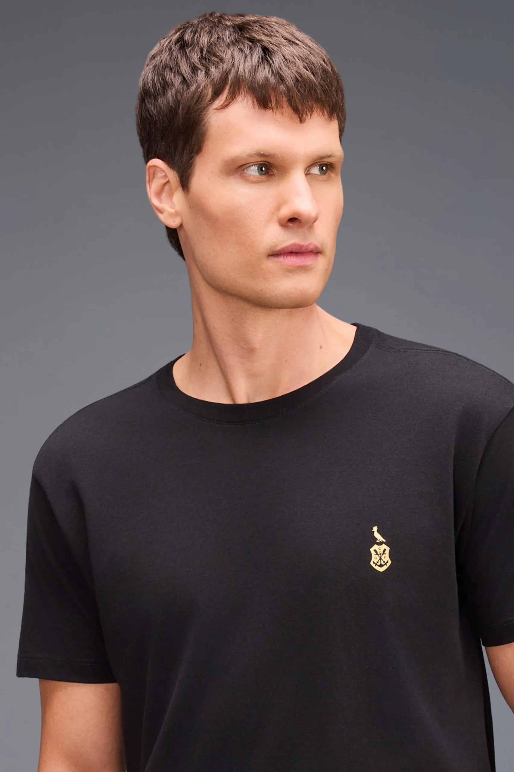 CAMISETA BRASAO GOLD FLA