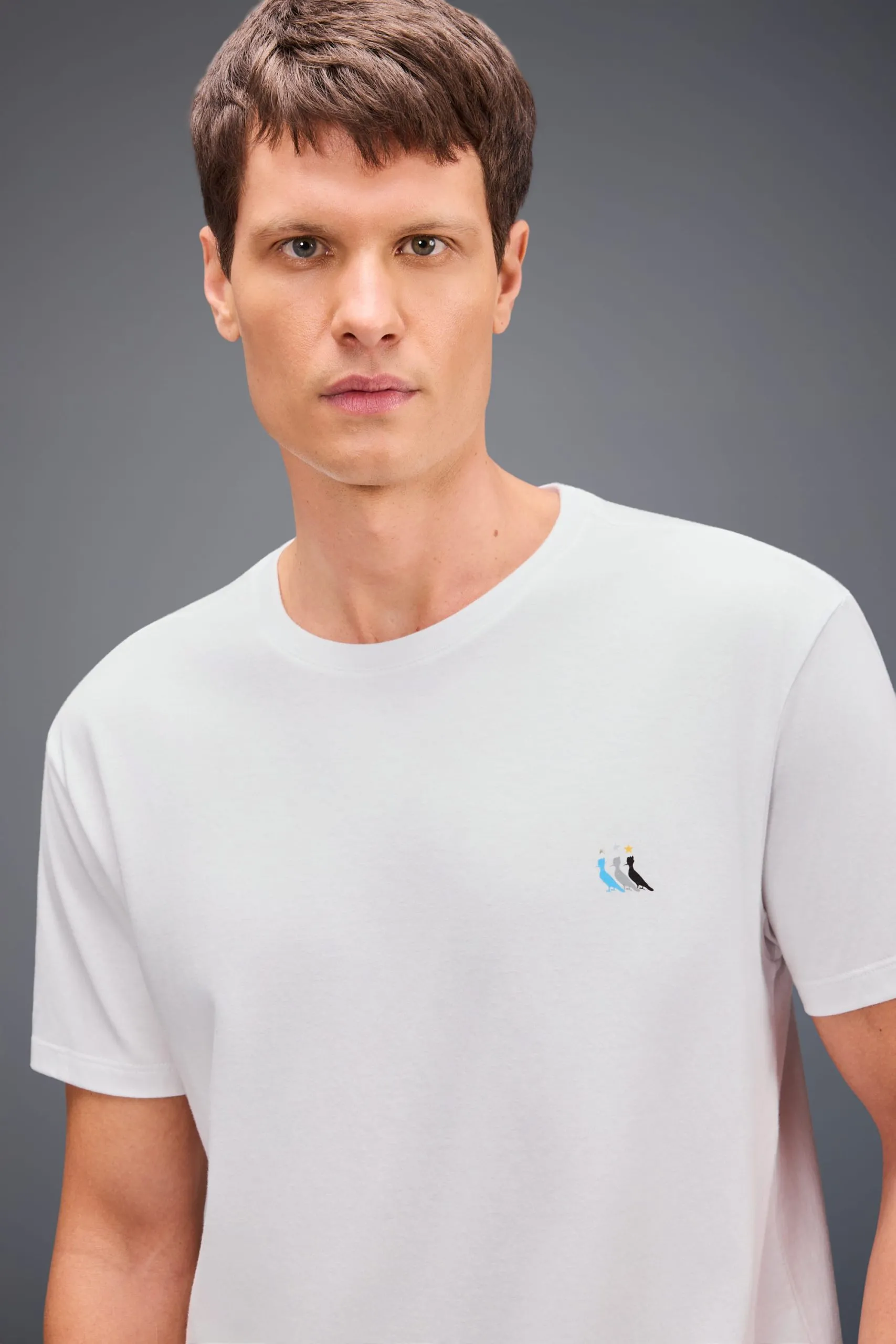 CAMISETA ESTAMPADA PP GREMISTA