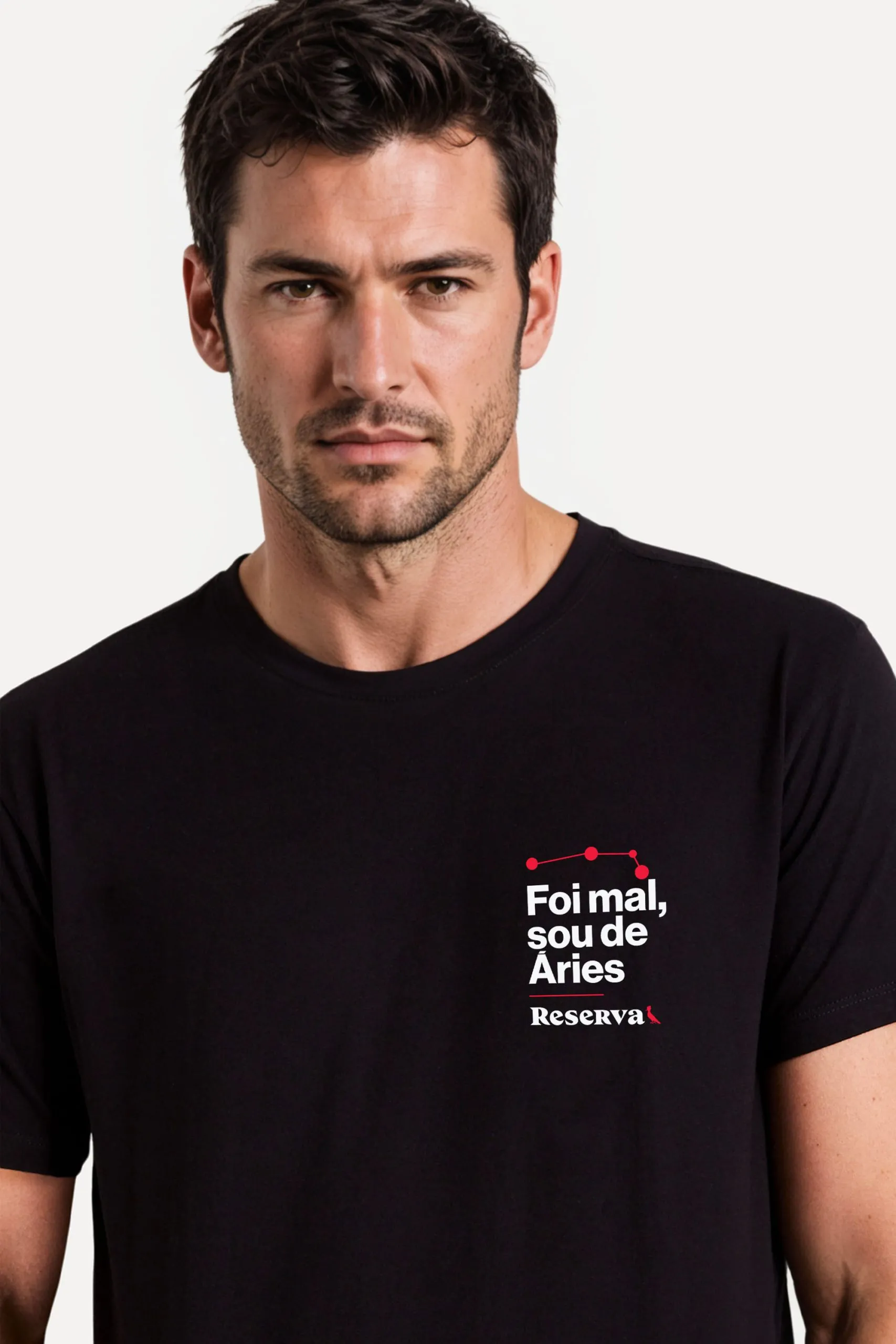 CAMISETA EST ESCUDO ARIES