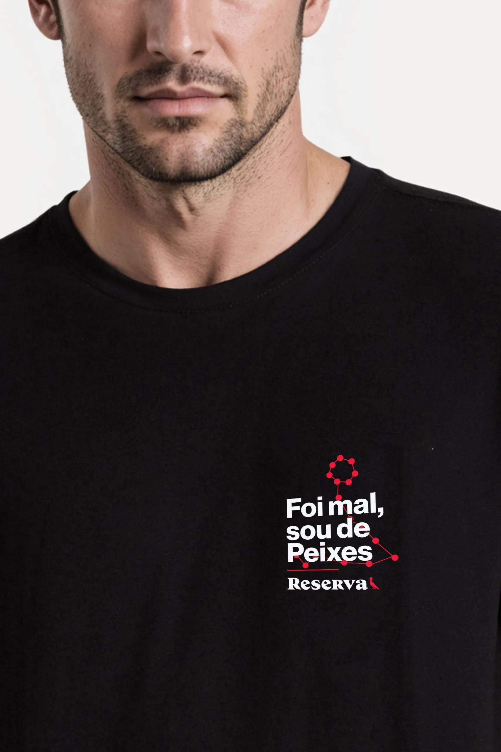 CAMISETA EST ESCUDO PEIXES