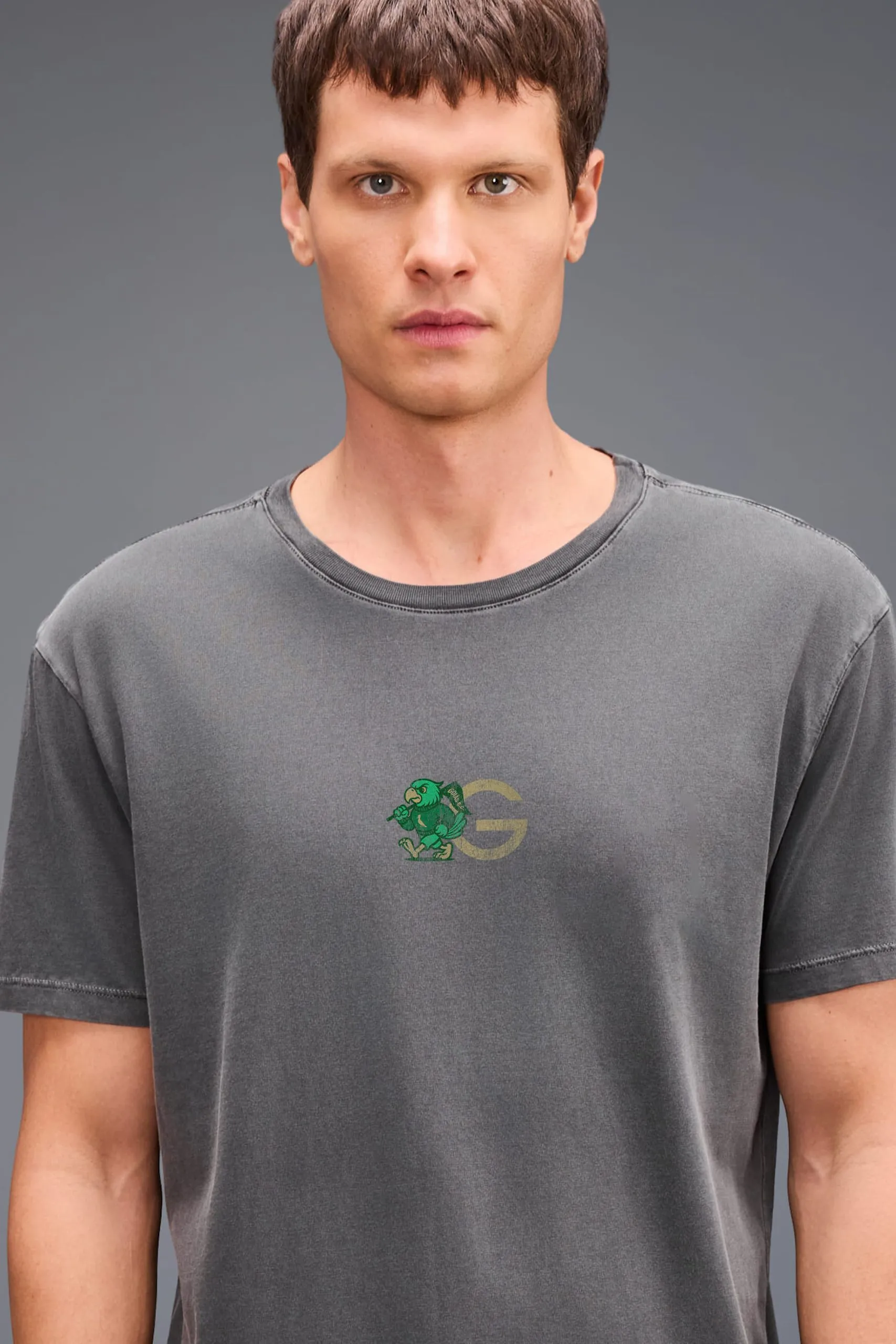 CAMISETA EST FORCA ESMERALDA GOIAS