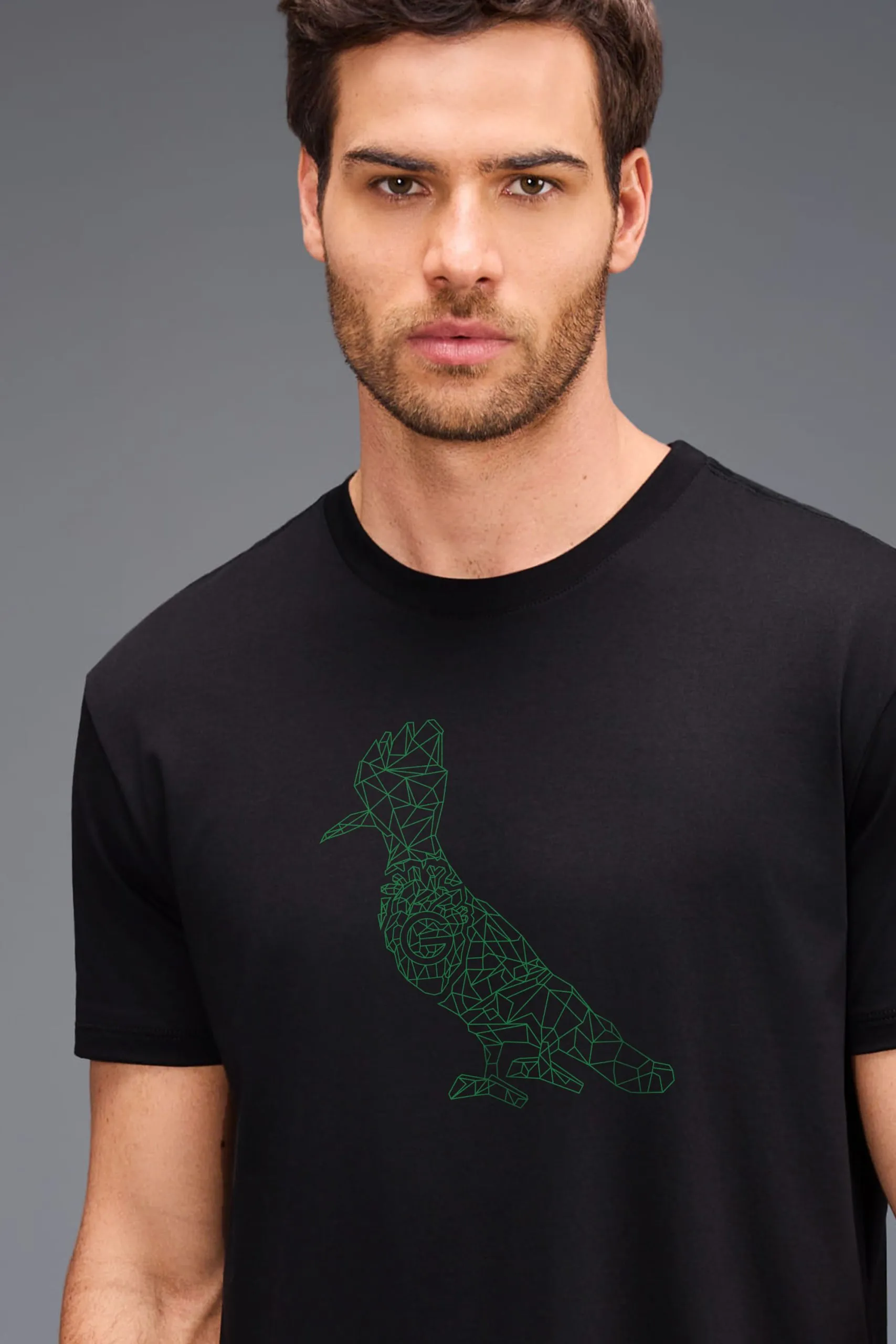 CAMISETA EST CORACAO ESMERALDA GOIAS