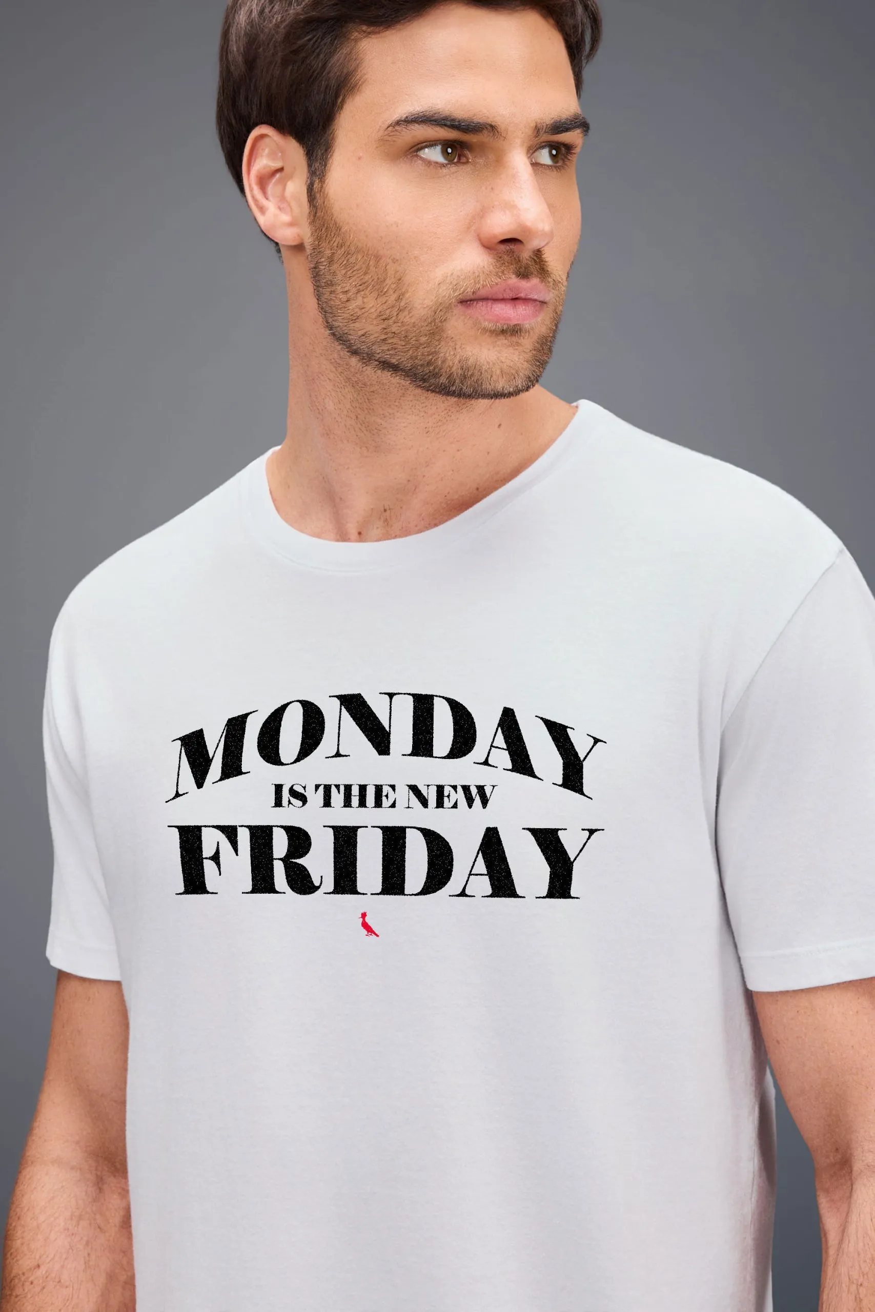 CAMISETA EST MENZINHO NEW FRIDAY