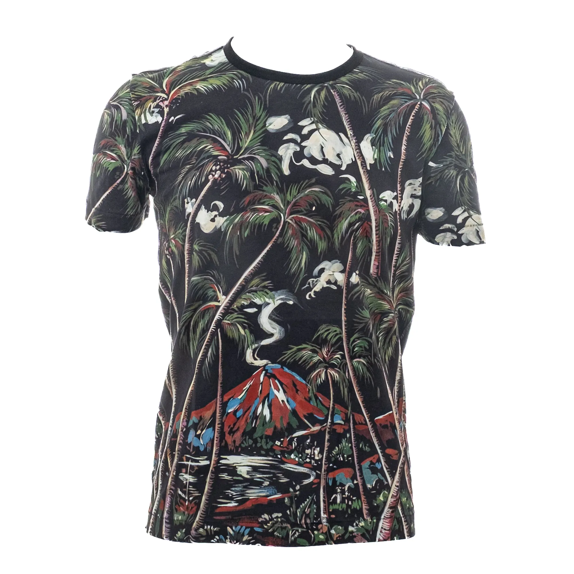 Camiseta Dolce & Gabbana Estampada Nature